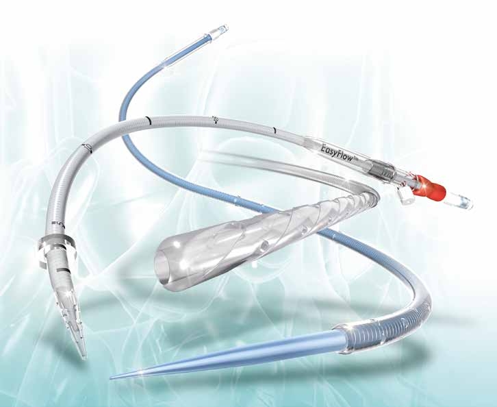 Cannule - 1