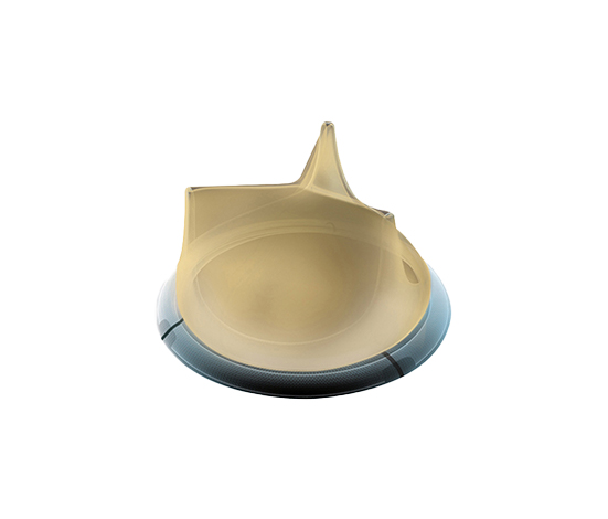 Biological Heart Valves (Bioprosthesis) - 0