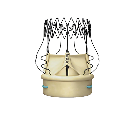 Biological Heart Valves (Bioprosthesis)